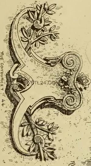 CARTOUCHE_0826